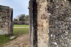 Picture 13