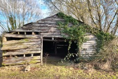 Picture 20