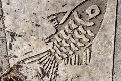 Picture 01