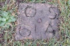 Picture 08